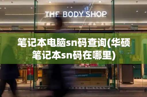 笔记本电脑sn码查询(华硕笔记本sn码在哪里)-第1张图片-星选测评