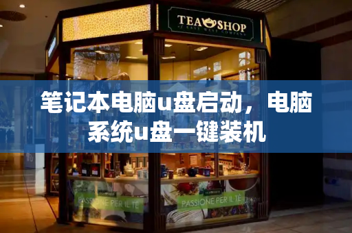 笔记本电脑u盘启动，电脑系统u盘一键装机