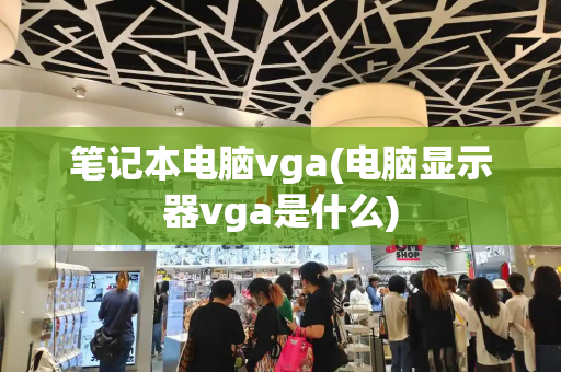 笔记本电脑vga(电脑显示器vga是什么)-第1张图片-星选测评