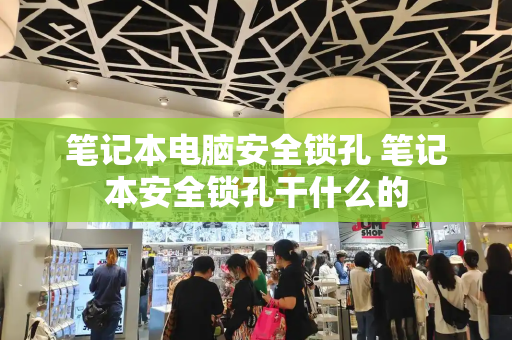 笔记本电脑安全锁孔 笔记本安全锁孔干什么的-第1张图片-星选测评