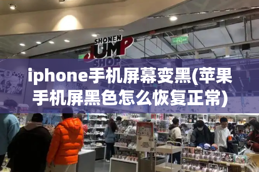 iphone手机屏幕变黑(苹果手机屏黑色怎么恢复正常)