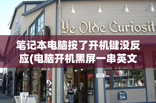 笔记本电脑按了开机键没反应(电脑开机黑屏一串英文key)-第1张图片-星选测评