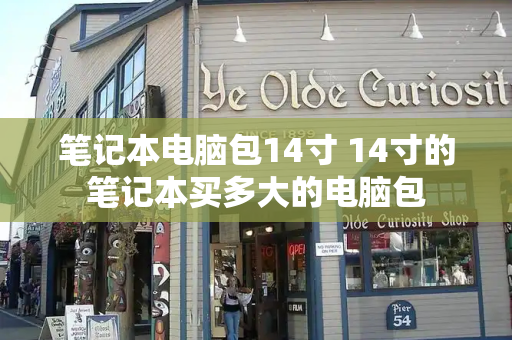 笔记本电脑包14寸 14寸的笔记本买多大的电脑包-第1张图片-星选测评