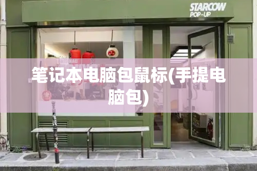 笔记本电脑包鼠标(手提电脑包)