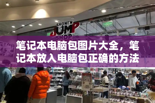 笔记本电脑包图片大全，笔记本放入电脑包正确的方法图解