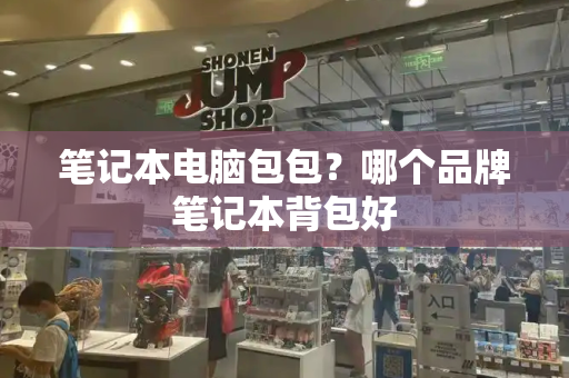 笔记本电脑包包？哪个品牌笔记本背包好-第1张图片-星选测评