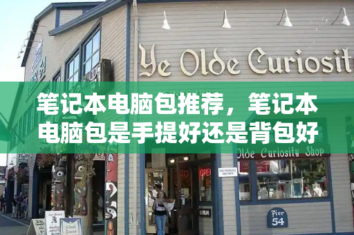 笔记本电脑包推荐，笔记本电脑包是手提好还是背包好