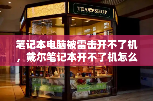 笔记本电脑被雷击开不了机，戴尔笔记本开不了机怎么办