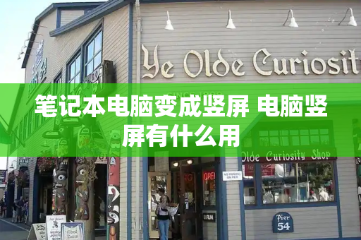 笔记本电脑变成竖屏 电脑竖屏有什么用-第1张图片-星选测评
