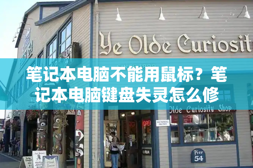 笔记本电脑不能用鼠标？笔记本电脑键盘失灵怎么修