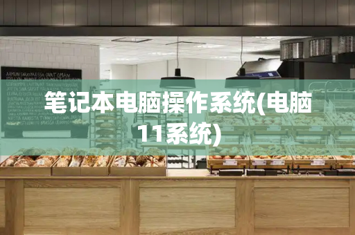 笔记本电脑操作系统(电脑11系统)