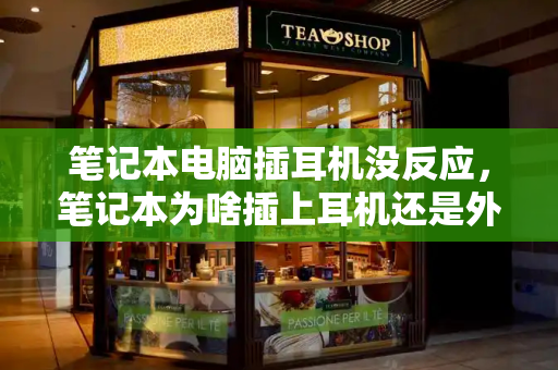 笔记本电脑插耳机没反应，笔记本为啥插上耳机还是外放