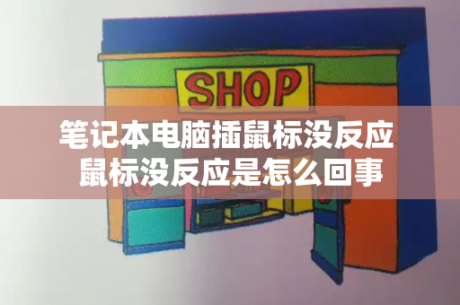 笔记本电脑插鼠标没反应 鼠标没反应是怎么回事