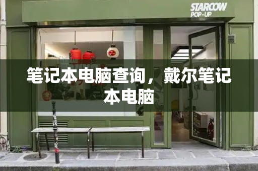 笔记本电脑查询，戴尔笔记本电脑-第1张图片-星选测评