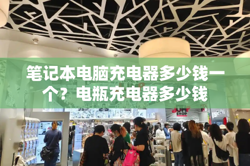 笔记本电脑充电器多少钱一个？电瓶充电器多少钱