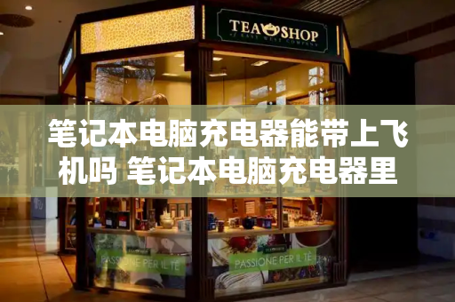 笔记本电脑充电器能带上飞机吗 笔记本电脑充电器里面有锂电池吗-第1张图片-星选测评
