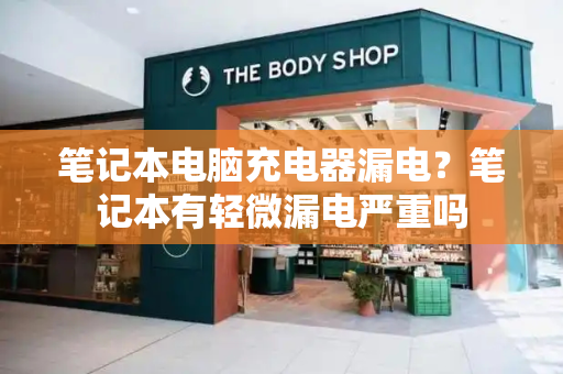 笔记本电脑充电器漏电？笔记本有轻微漏电严重吗-第1张图片-星选测评