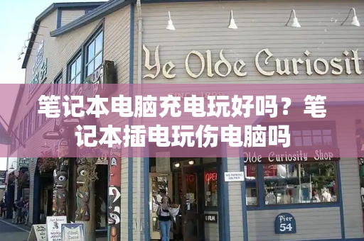 笔记本电脑充电玩好吗？笔记本插电玩伤电脑吗-第1张图片-星选测评