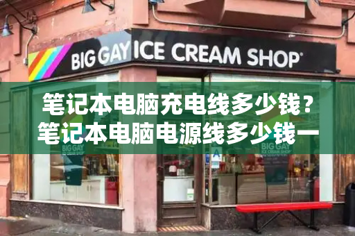 笔记本电脑充电线多少钱？笔记本电脑电源线多少钱一根-第1张图片-星选测评