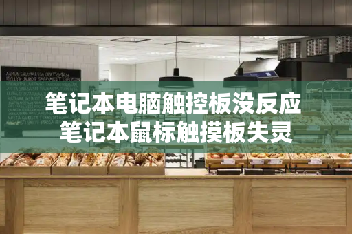 笔记本电脑触控板没反应 笔记本鼠标触摸板失灵-第1张图片-星选测评