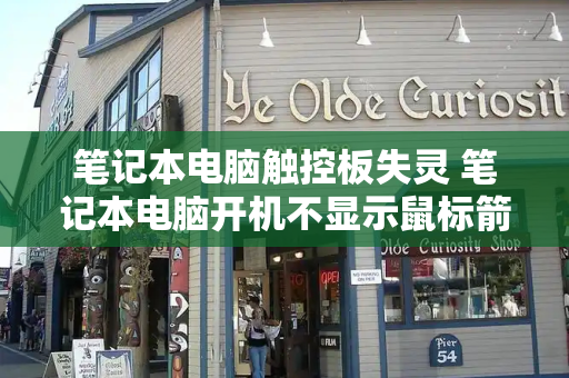 笔记本电脑触控板失灵 笔记本电脑开机不显示鼠标箭头