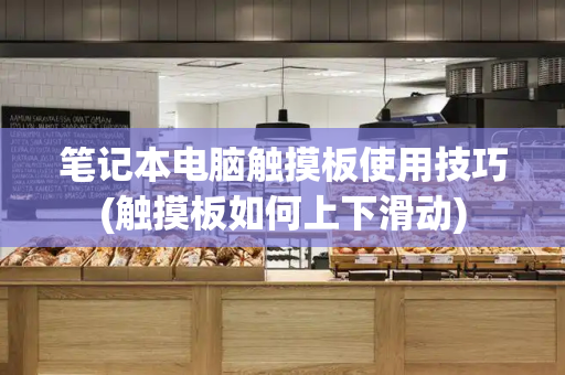 笔记本电脑触摸板使用技巧(触摸板如何上下滑动)