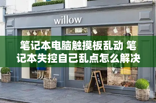 笔记本电脑触摸板乱动 笔记本失控自己乱点怎么解决