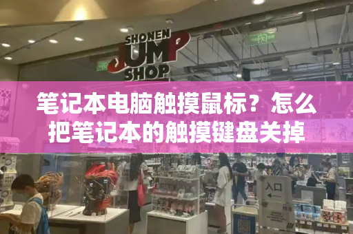 笔记本电脑触摸鼠标？怎么把笔记本的触摸键盘关掉