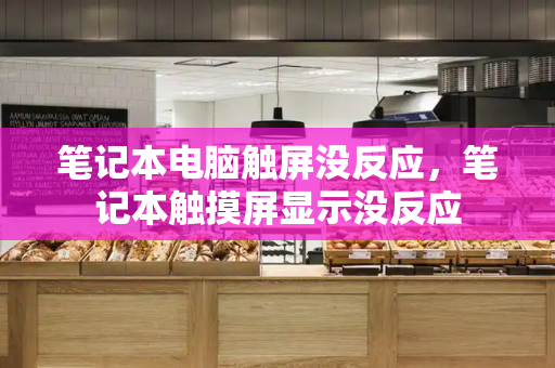 笔记本电脑触屏没反应，笔记本触摸屏显示没反应