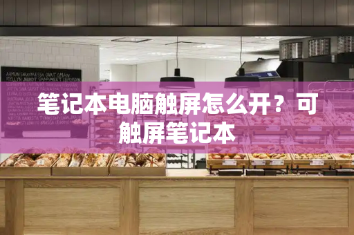 笔记本电脑触屏怎么开？可触屏笔记本-第1张图片-星选测评