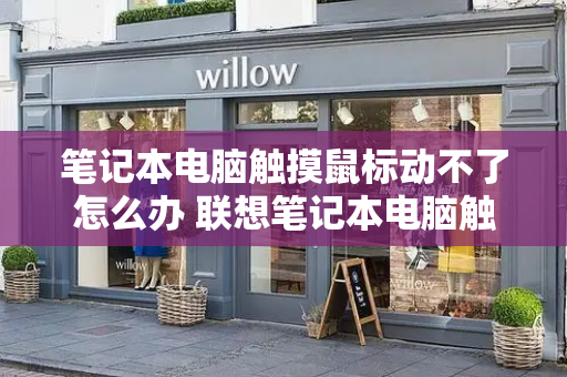 笔记本电脑触摸鼠标动不了怎么办 联想笔记本电脑触摸鼠标动不了