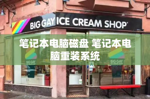 笔记本电脑磁盘 笔记本电脑重装系统-第1张图片-星选测评