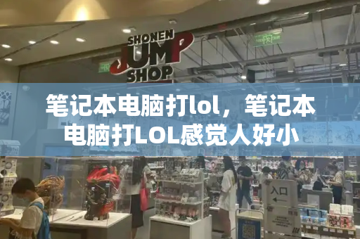 笔记本电脑打lol，笔记本电脑打LOL感觉人好小