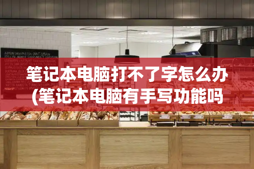 笔记本电脑打不了字怎么办(笔记本电脑有手写功能吗)-第1张图片-星选测评