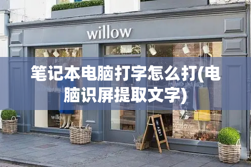 笔记本电脑打字怎么打(电脑识屏提取文字)