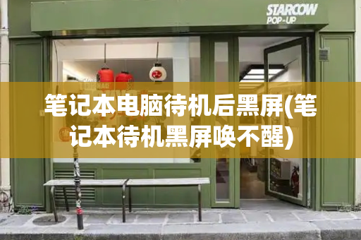 笔记本电脑待机后黑屏(笔记本待机黑屏唤不醒)