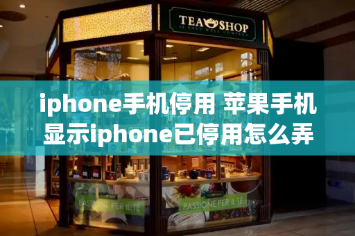 iphone手机停用 苹果手机显示iphone已停用怎么弄