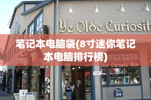 笔记本电脑袋(8寸迷你笔记本电脑排行榜)