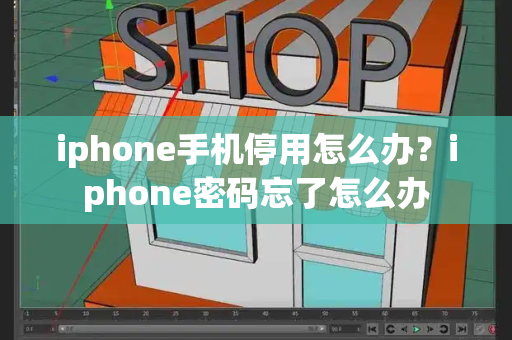 iphone手机停用怎么办？iphone密码忘了怎么办-第1张图片-星选测评