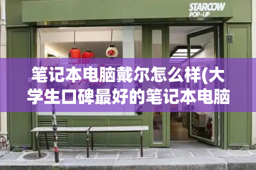 笔记本电脑戴尔怎么样(大学生口碑最好的笔记本电脑)-第1张图片-星选测评