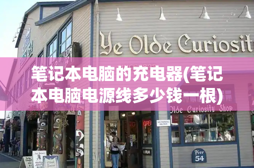 笔记本电脑的充电器(笔记本电脑电源线多少钱一根)