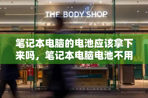 笔记本电脑的电池应该拿下来吗，笔记本电脑电池不用时电池拿掉吗-第1张图片-星选测评