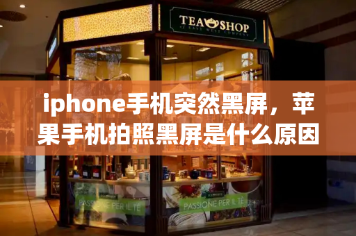 iphone手机突然黑屏，苹果手机拍照黑屏是什么原因-第1张图片-星选测评