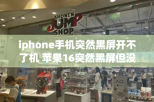 iphone手机突然黑屏开不了机 苹果16突然黑屏但没关机-第1张图片-星选测评