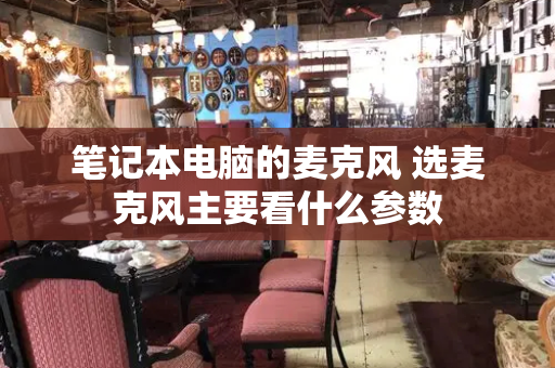 笔记本电脑的麦克风 选麦克风主要看什么参数-第1张图片-星选测评