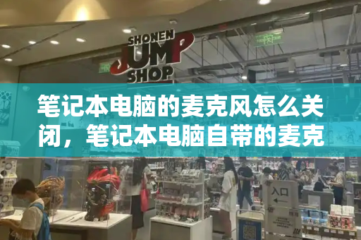 笔记本电脑的麦克风怎么关闭，笔记本电脑自带的麦克风在哪-第1张图片-星选测评