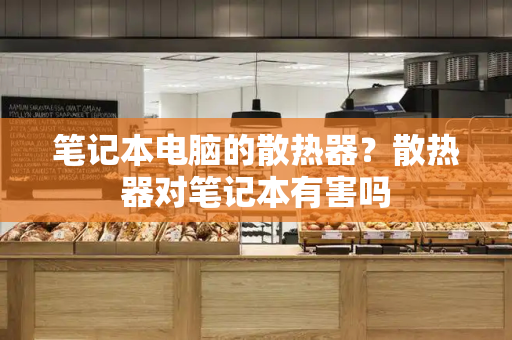 笔记本电脑的散热器？散热器对笔记本有害吗