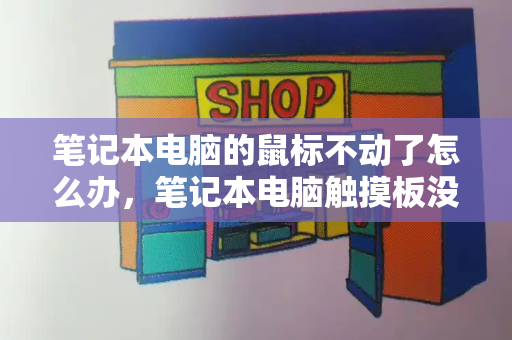 笔记本电脑的鼠标不动了怎么办，笔记本电脑触摸板没反应