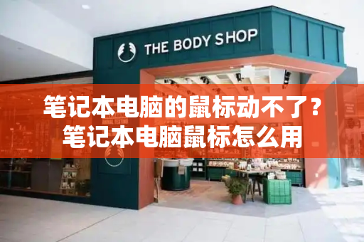 笔记本电脑的鼠标动不了？笔记本电脑鼠标怎么用