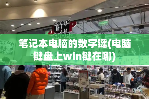 笔记本电脑的数字键(电脑键盘上win键在哪)-第1张图片-星选测评